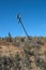 Sparsely vegetated slope with abandoned telegraph pole at top