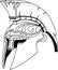 Spartan helmet (illustration of an ancient greek warrior helmet,