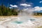 Spasmodic Geyser at upper geyser basin