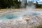 Spasmodic geyser in Yellowstone