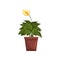 Spathiphyllum indoor house plant in brown pot, element for decoration home interior vector Illustration on a white