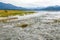 Spawning chum salmon (Oncorhynchus keta) in Chehalis River, Fraser Valley, British Columbia, Canada