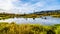 The spawning grounds of the Stave River downstream of the Ruskin Dam at Hayward Lake near Mission, BC, Canada