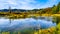 The spawning grounds of the Stave River downstream of the Ruskin Dam at Hayward Lake near Mission, BC, Canada