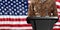 Speaker in an American military uniform, standing on a USA flag background. 3d illustration