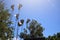 Speaker Amplifier On Steel Pole Sky background  With morning sunshine