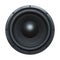 Speaker bass driver