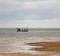 Spear Fishing in Mombassa, Kenya