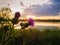 Spear thistle purple flower over sunset sky background. Cirsium vulgare, plant with spine and needles tipped winged stems and