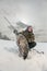 Spearfishing with speargun shot a big fish under the ice of the river Volga