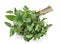 Spearmint herb