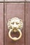 Specchia, Apulia - A golden old door knob in the shape of a lion