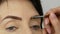 A special brush paints eyebrows with eyebrow shadows. Close view. Professional make-up artist doing makeup to middle