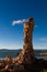 The special Calcium carbonate column in mono lake