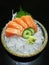 Special Deluxe salmon sashimi set on ice sever with wasabi and cucumber , traditional Japanese food