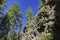 Special Geology in Devils Postpile National Monument