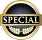 Special Gold Luxury Shield Label Icon