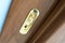 Special golden door handle