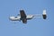 Special mission drone UAV plane at air base. Air force flight operation. Aviation and aircraft. Air defense. Military industry.