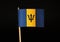 A special official Flag of Barbados on wooden stick on black background. Flag is formed black trident and two colours blue and yel