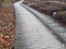 Special wooden paths for walking in the pine forest among the Dunes