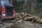 Specialized tractor forwarder folding wood in the forest. The Carpathians, Poland