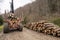 Specialized tractor forwarder folding wood in the forest. The Carpathians, Poland