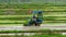 Specialized tractor planting paddy seedling in the plowed field