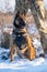 Specifically trained to assist police and other law-enforcement personnel police dog of breed Belgian Shepherd Malinois  sitting