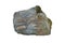 Specimen of gneiss and schist rock isolated on a white background. metamorphic rock.