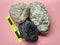 Specimen Phyllite and schist of metamorphic rock on Melange complex