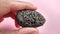 Specimen scoria, igneous rock of volcanic rock