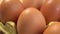 Speckled chicken eggs in cardboard packaging. Macro