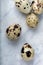 Speckled fresh quail eggs on a marble counter top