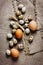 Speckled quail eggs and chicken eggs