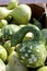 Speckled Swan Gourd  838669