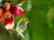 Speckled Tanager in a tropical fruit tree with an uplifting quotation.