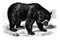 Spectacled Bear, vintage illustration