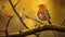 Spectacled Robin: A Poetic Wallpaper With Lens Flare And Softbox Lighting