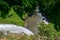 Spectacular 55m Bridal Veil Falls in New Zealand