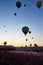 Spectacular balloons flying at sunrise in Goreme. Turism Cappadocia, Turkey