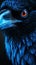 Spectacular Blue-Eyed Raven Closeup with Glossy Feathers.