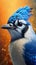 Spectacular Bluejay in Extreme Closeup: Richly Textured and Highly Detailed Macro Shot.