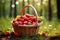 Spectacular bountiful strawberry harvest glistening in the warm embrace of soft sunlight