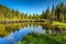 Spectacular clean forest lake,Retezat mountains,Transylvania,Romania,Europe