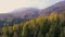 Spectacular drone footage of a overhead view of a autumn forest in the Swiss Alpine mountains.