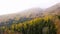 Spectacular drone footage of a overhead view of a autumn forest in the Swiss Alpine mountains.