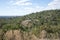 Spectacular forest landscape in John Forrest National Park