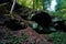 Spectacular geological formation in the wolf`s gorge of Zwingenberg