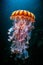 Spectacular and glowing colorful jellyfishes swimming in the ocean. Amazing wildlife. Generative Ai